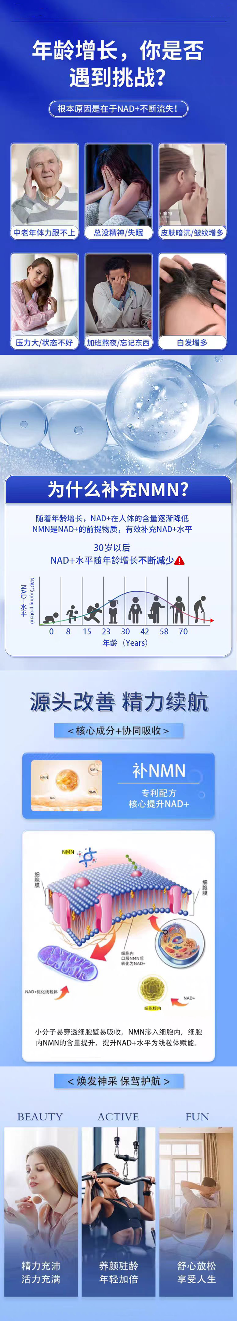 NMN长图.png