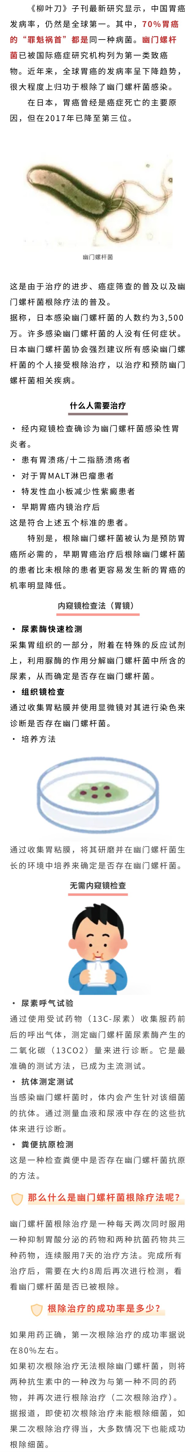 幽门螺旋杆菌.jpg